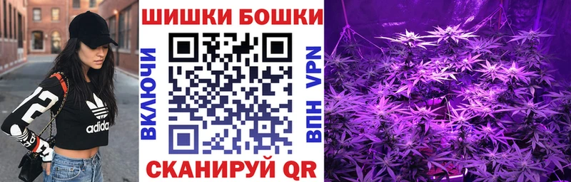 Где найти наркотики Белозерск ГАШИШ  Alpha-PVP  Псилоцибиновые грибы  Бошки Шишки  Меф 